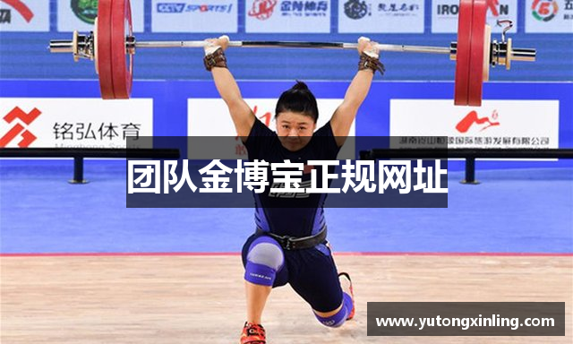 团队金博宝正规网址